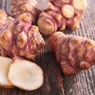 Estratto di tubero di topinambur